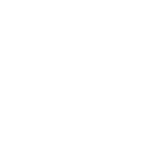 Icono Escudo Rev 02