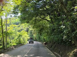 Complementarán carretera Cumbres de Tuxpango–Campo Chico para reducir accidentes