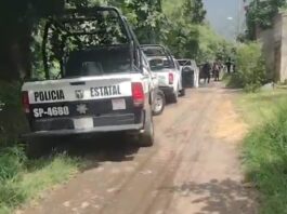 Localizan cadáver de mujer en predio de Nogales; permanece sin identificar