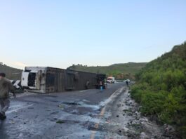 Volcadura de tráiler provoca cierre y rapiña de aguacate en Maltrata