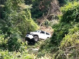Cae camioneta repartidora de cerveza a un barranco en la carretera Orizaba–Zongolica, no hay lesionados